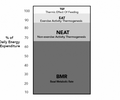 EAT-1